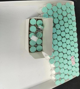 Tirzepatide Tirzepatide